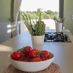 Afrala Summerhouse 别墅 Chavriáta